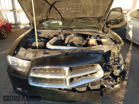 2014 Dodge Charger SXT with VIN 2C3CDXHG9EH305256, listed as a IAAI auction lot 41360219 with 170,192 mi miles and . Bid and sale history available at DreamBid. Image 10.