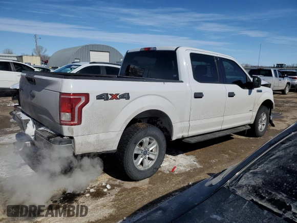 2015 Ford F-150 XLT with VIN 1FTEW1EG5FKE44195, listed as a Copart auction lot 46316855 with 227,226 mi miles and Salvage Title. Bid and sale history available at carsss.com. Image 3.