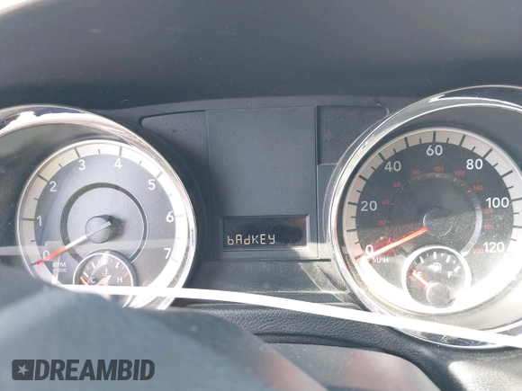 2014 Ram Cargo Van with VIN 2C4RRGAG2ER251245, listed as a IAAI auction lot 42038553 with 230,962 mi miles and . Bid and sale history available at DreamBid. Image 12.
