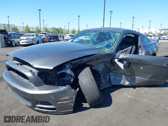 2013 Ford Mustang V6 with VIN 1ZVBP8AM2D5228334, listed as a IAAI auction lot 42164895 with Not provided miles and . Bid and sale history available at DreamBid. Image 6.