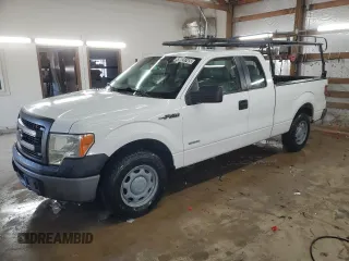 2014 Ford F-150 XL with VIN 1FTFX1CT5EKD41150, listed as a Copart auction lot 49028745 with 257,204 mi miles and Clean Title. Bid and sale history available at carsss.com. Image 1.