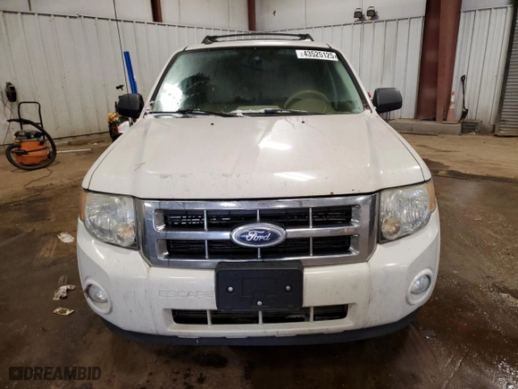 2010 Ford Escape XLT with VIN 1FMCU9D76AKD14542, listed as a Copart auction lot 43525125 with 202,601 mi miles and Clean Title. Bid and sale history available at carsss.com. Image 5.