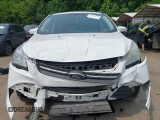 2014 Ford Escape SE with VIN 1FMCU9G99EUC81141, listed as a IAAI auction lot 42436279 with 123,947 mi miles and . Bid and sale history available at DreamBid. Image 12.
