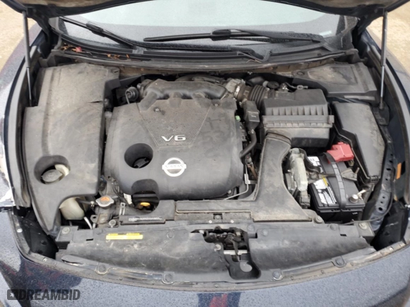 2009 Nissan Maxima 3.5 S with VIN 1N4AA51E29C814094, listed as a Copart auction lot 49481495 with 106,410 mi miles and Salvage Title. Bid and sale history available at carsss.com. Image 11.