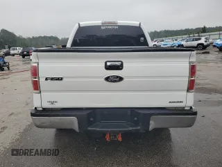 2011 Ford F-150 XL with VIN 1FTFW1CF5BFD20767, listed as a Copart auction lot 58480325 with 249,826 mi miles and Salvage title. Bid and sale history available at DreamBid. Image 6.