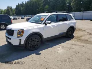 2021 Kia Telluride SX with VIN 5XYP5DHC5MG184714, listed as a Copart auction lot 59966745 with 47,569 mi miles and Salvage title. Bid and sale history available at DreamBid. Image 1.