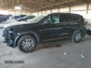 2019 Hyundai Santa Fe SEL with VIN 5NMS3CAD5KH094348, listed as a Copart auction lot 70192422 with 33,524 mi miles. Bid and sale history available at carsss.com. Image 1.