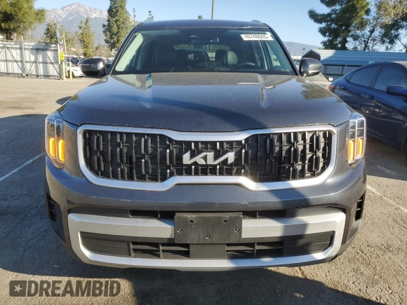 2024 Kia Telluride EX with VIN 5XYP34GC5RG475017, listed as a Copart auction lot 46748665 with 9,087 mi miles and Salvage Title. Bid and sale history available at DreamBid. Image 5.