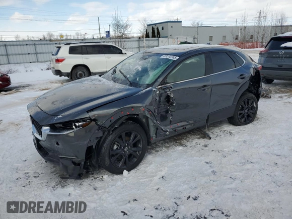 2024 Mazda CX-30 Premium z VIN 3MVDMBDYXRM646995, wystawiony jako Copart lot #89282365 z przebiegiem 4049 mil mil oraz Szkoda całkowita • Salvage title. Historia ofert i sprzedaży dostępna na DreamBid. Obrazek 1.