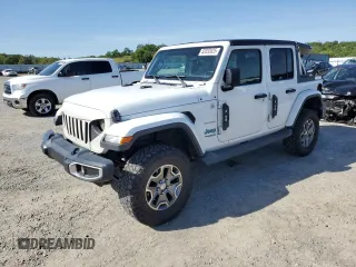 2019 Jeep Wrangler Unlimited Sahara with VIN 1C4HJXEN7KW509452, listed as a Copart auction lot 52033825 with 119,357 mi miles and Salvage Title. Bid and sale history available at carsss.com. Image 1.