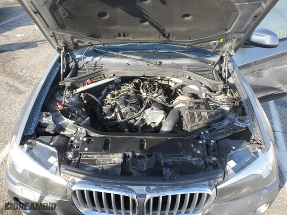 2017 BMW X3 sDrive28i with VIN 5UXWZ7C55H0T43879, listed as a Copart auction lot 43236315 with 161,205 mi miles and Salvage Title. Bid and sale history available at carsss.com. Image 12.