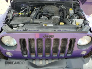 2016 Jeep Wrangler Unlimited 75th Anniversary with VIN 1C4BJWEG1GL228659, listed as a Copart auction lot 44616325 with 125,365 mi miles and Salvage title. Bid and sale history available at DreamBid. Image 12.