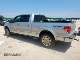2013 Ford F-150 XL with VIN 1FTFW1ET1DFD25776, listed as a Copart auction lot 61003205 with 117,241 mi miles and Clean title. Bid and sale history available at DreamBid. Image 2.