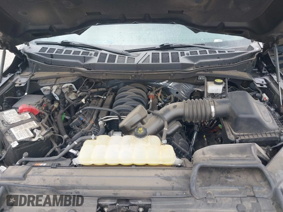 2021 Ford F-150 XL with VIN 1FTFW1E51MFD03486, listed as a IAAI auction lot 40733759 with 66,537 mi miles and . Bid and sale history available at DreamBid. Image 10.