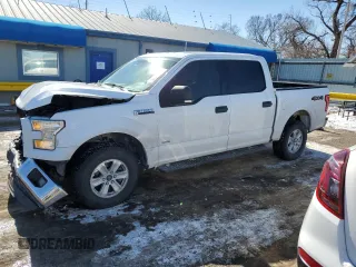 2015 Ford F-150 XLT with VIN 1FTEW1EG5FKE44195, listed as a Copart auction lot 46316855 with 227,226 mi miles and Salvage Title. Bid and sale history available at carsss.com. Image 1.