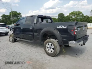 2011 Ford F-150 XL with VIN 1FTFW1EF5BFA50629, listed as a Copart auction lot 60555855 with Not provided miles and Salvage title. Bid and sale history available at DreamBid. Image 2.