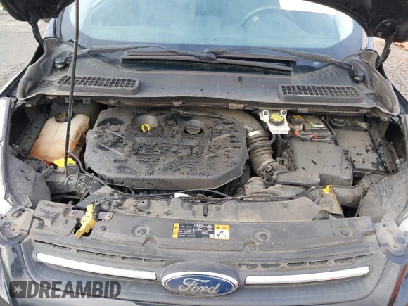 2016 Ford Escape SE with VIN 1FMCU9G97GUA30718, listed as a IAAI auction lot 41516857 with 167,576 mi miles and . Bid and sale history available at DreamBid. Image 10.