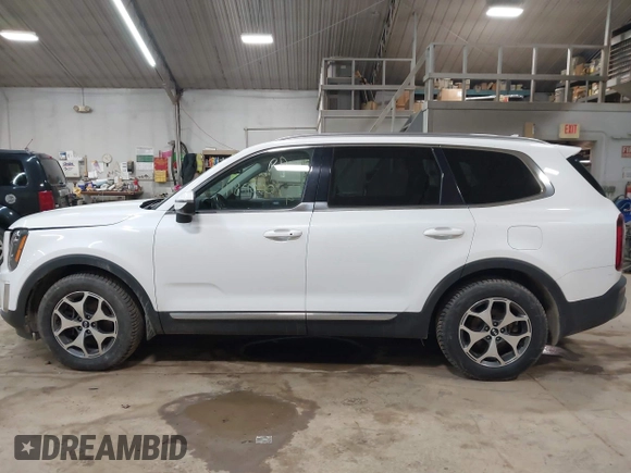 2020 Kia Telluride EX z VIN 5XYP3DHC5LG020089, wystawiony jako IAAI lot #41890001 z przebiegiem 87 396 mil mil oraz . Historia ofert i sprzedaży dostępna na DreamBid. Obrazek 14.