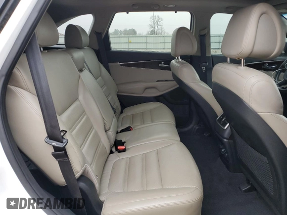 2016 Kia Sorento EX with VIN 5XYPH4A18GG125810, listed as a Copart auction lot 49037535 with 161,383 mi miles and Salvage Title. Bid and sale history available at DreamBid. Image 11.