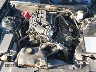 2013 Ford Mustang V6 with VIN 1ZVBP8AM3D5244879, listed as a IAAI auction lot 42210809 with Not provided miles and . Bid and sale history available at DreamBid. Image 10.