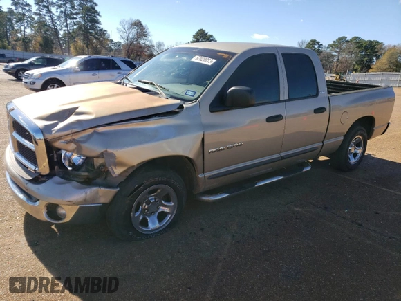 2002 Dodge 1500 z VIN 1D7HA18N02S703732, wystawiony jako Copart lot #89305895 z przebiegiem 189 396 mil mil oraz Szkoda całkowita • Salvage title. Historia ofert i sprzedaży dostępna na DreamBid. Obrazek 1.