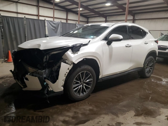 2024 Lexus NX with VIN JTJAGCEZ2R2010357, listed as a Copart auction lot 88325385 with 42,082 mi miles and Salvage Title. Bid and sale history available at carsss.com. Image 1.