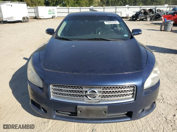 2009 Nissan Maxima 3.5 SV with VIN 1N4AA51E69C820559, listed as a Copart auction lot 75943194 with 0 mi miles and Salvage Title. Bid and sale history available at carsss.com. Image 5.