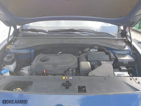 2019 Hyundai Santa Fe SE with VIN 5NMS2CAD5KH091372, listed as a IAAI auction lot 41596807 with 99,540 mi miles. Bid and sale history available at carsss.com. Image 10.
