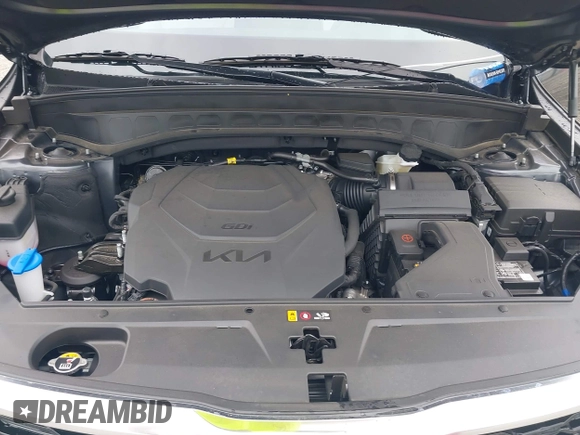 2022 Kia Telluride S with VIN 5XYP64HC0NG318575, listed as a IAAI auction lot 42607732 with 10,422 mi miles and . Bid and sale history available at DreamBid. Image 10.