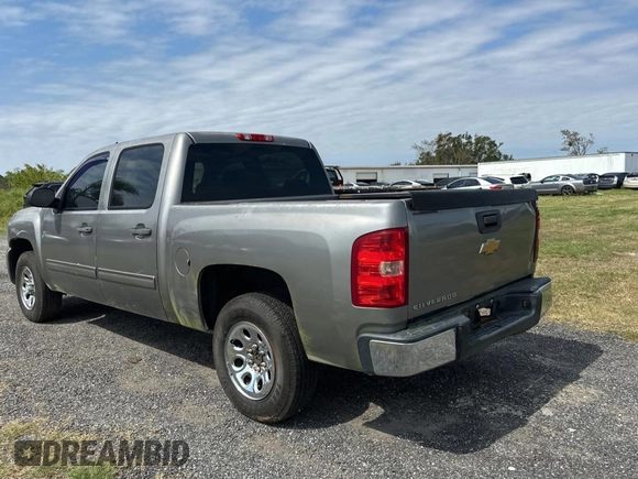 2013 Chevrolet Silverado 1500 LT with VIN 3GCPCSEA9DG215414, listed as a Copart auction lot 76802894 with 230,791 mi miles and Clean Title. Bid and sale history available at DreamBid. Image 3.