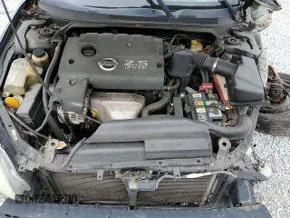 2003 Nissan Altima S with VIN 1N4AL11D63C118162, listed as a Copart auction lot 49410035 with 0 mi miles and Salvage Title. Bid and sale history available at carsss.com. Image 12.