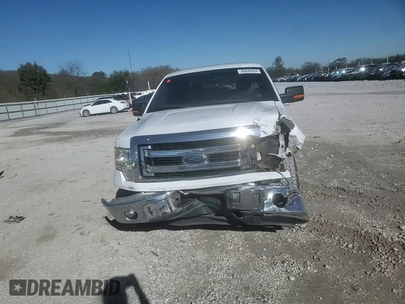 2014 Ford F-150 XL with VIN 1FTFX1CT6EKE65590, listed as a Copart auction lot 80848964 with 176,491 mi miles and Salvage Title. Bid and sale history available at carsss.com. Image 11.