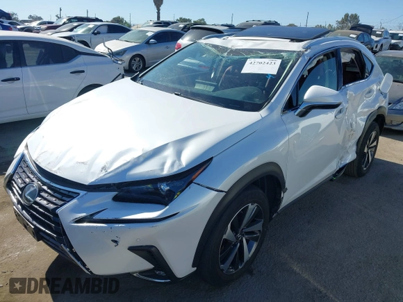 2021 Lexus NX 300 z VIN JTJGARBZ8M5028503, wystawiony jako IAAI lot #42702423 z przebiegiem 37 126 mil mil oraz . Historia ofert i sprzedaży dostępna na DreamBid. Obrazek 6.