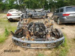 2017 Ford F-150 XL with VIN 1FTEW1EF3HKE49647, listed as a Copart auction lot 56196725 with Not provided miles and Non repairable. Bid and sale history available at DreamBid. Image 5.