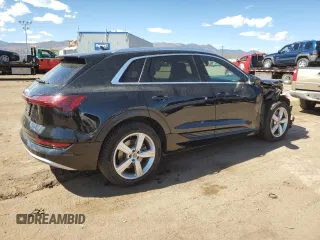 2019 Audi e-tron Premium Plus with VIN WA1LABGE6KB014901, listed as a Copart auction lot 50910225 with 46,322 mi miles and Salvage title. Bid and sale history available at DreamBid. Image 3.