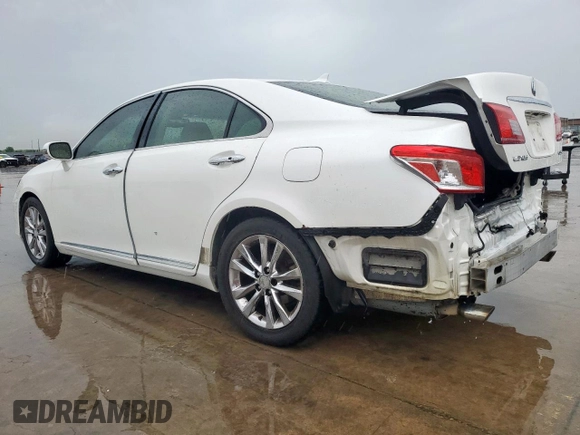 2010 Lexus ES 330 with VIN JTHBK1EG1A2400054, listed as a Copart auction lot 55506805 with 240,289 mi miles and Salvage Title. Bid and sale history available at DreamBid. Image 2.