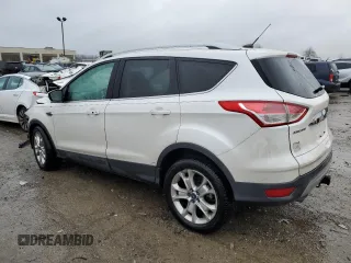 2015 Ford Escape Titanium with VIN 1FMCU0J94FUB45974, listed as a Copart auction lot 46824245 with 0 mi miles and Non Repairable. Bid and sale history available at carsss.com. Image 2.