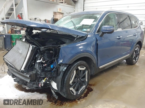 2024 Kia Telluride S with VIN 5XYP6DGC9RG430637, listed as a IAAI auction lot 42139135 with 15,838 mi miles and . Bid and sale history available at DreamBid. Image 2.