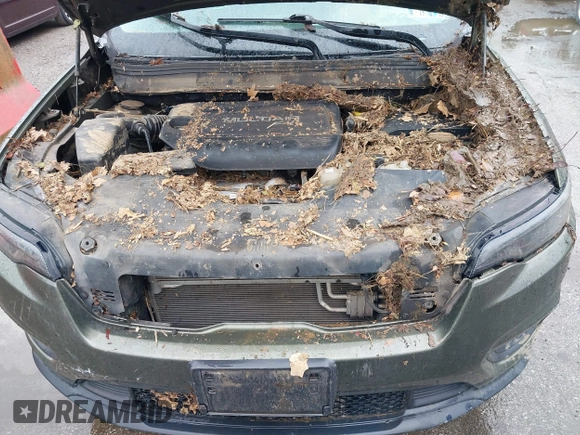 2019 Jeep Cherokee Latitude Plus with VIN 1C4PJMLB0KD169415, listed as a IAAI auction lot 42284888 with Not provided miles and . Bid and sale history available at DreamBid. Image 10.