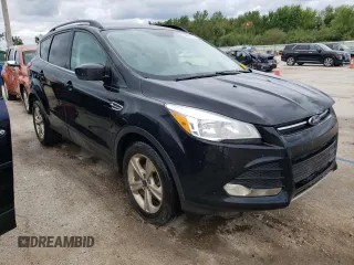 2014 Ford Escape SE with VIN 1FMCU9G99EUE48159, listed as a Copart auction lot 66864794 with 175,990 mi miles and Salvage Title. Bid and sale history available at DreamBid. Image 4.