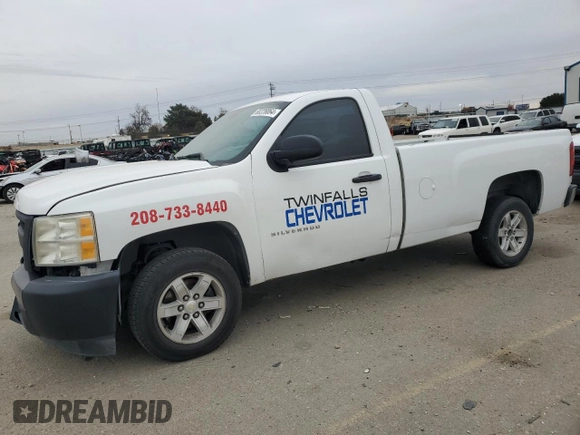 2010 Chevrolet Silverado 1500 Work Truck with VIN 1GCPCPEX9AZ201607, listed as a Copart auction lot 80228064 with Not Provided miles and Salvage Title. Bid and sale history available at DreamBid. Image 1.