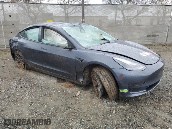 2023 Tesla Model 3 with VIN 5YJ3E1EA2PF434910, listed as a Copart auction lot 48523135 with 0 mi miles and Non Repairable. Bid and sale history available at carsss.com. Image 4.