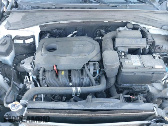 2019 Hyundai Santa Fe SE with VIN 5NMS2CAD6KH114027, listed as a IAAI auction lot 41874556 with 125,729 mi miles. Bid and sale history available at carsss.com. Image 10.