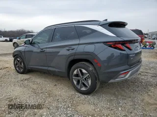 2025 Hyundai Tucson SEL with VIN 5NMJB3DE2SH475822, listed as a Copart auction lot 46065935 with 2,123 mi miles and Salvage Title. Bid and sale history available at carsss.com. Image 2.
