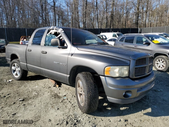 2002 Dodge Ram 1500 with VIN 1D3HU18Z22J187777, listed as a Copart auction lot 45722075 with 206,580 mi miles and Salvage Title. Bid and sale history available at carsss.com. Image 4.