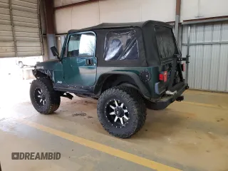 2001 Jeep Wrangler Sport with VIN 1J4FA49S51P373069, listed as a Copart auction lot 48625225 with 0 mi miles and Salvage Title. Bid and sale history available at carsss.com. Image 2.