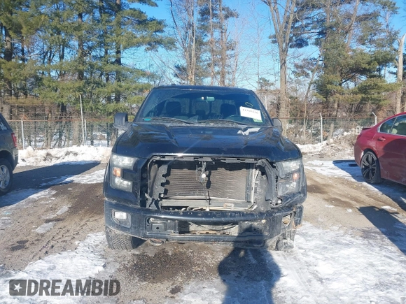 2017 Ford F-150 XL with VIN 1FTFX1EF1HFA23112, listed as a IAAI auction lot 41395236 with 96,848 mi miles. Bid and sale history available at carsss.com. Image 12.