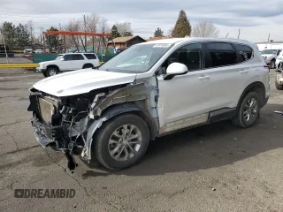 2019 Hyundai Santa Fe SE with VIN 5NMS2CAD5KH098256, listed as a Copart auction lot 47876895 with 130,870 mi miles and Salvage Title. Bid and sale history available at carsss.com. Image 1.
