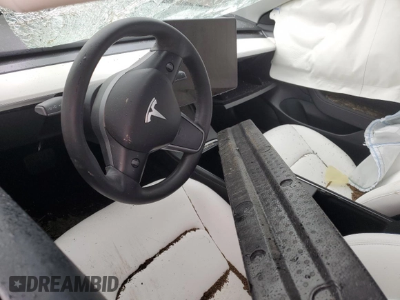 2023 Tesla Model 3 with VIN 5YJ3E1EA2PF434910, listed as a Copart auction lot 48523135 with 0 mi miles and Non Repairable. Bid and sale history available at carsss.com. Image 8.