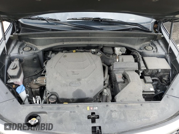 2021 Kia Telluride EX with VIN 5XYP3DHCXMG148538, listed as a Copart auction lot 56045245 with 51,998 mi miles and Salvage title. Bid and sale history available at DreamBid. Image 12.